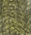 dfgxbg1422