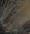 dfgxbg1434