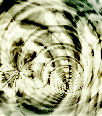 dfgxbg1485