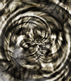 dfgxbg1592