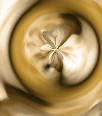 dfgxbg160