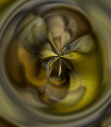 dfgxbg162