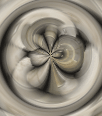 dfgxbg170