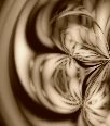 dfgxbg176