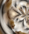 dfgxbg215