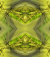 dfgxbg218