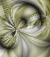 dfgxbg219