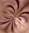 dfgxbg220