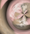 dfgxbg223