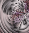 dfgxbg271