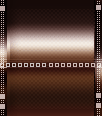 dfgxbg334