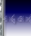 dfgxbg65