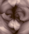 dfgxbg747