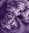 dfgxbg755