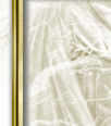 dfgxbg784