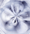 dfgxbg797