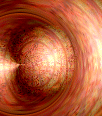 dfgxbg88