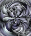 dfgxbg903