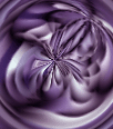 dfgxbg904