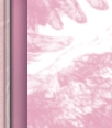 dfgxbg984