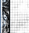 dv8megabgs55