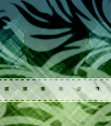 forte14
