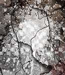 2020asylumtall150x130-095