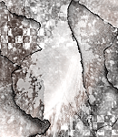 2020asylumtall150x130-114