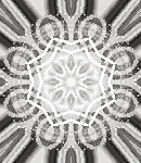 kaleidasylumbkgdstalls-053