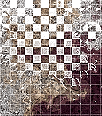 2019megsasylum-129