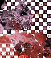 theasylummegabkgds2017--170