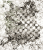 2017asylumtall130x150-204
