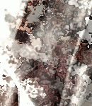asylum-tall150x130bkgs-055