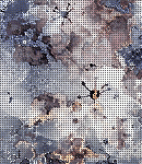 asylum-tall150x130bkgs-065