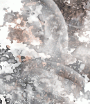 asylum-tall150x130bkgs-083