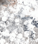 asylum-tall150x130bkgs-089 asylum-tall150x130bkgs-089
