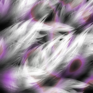 fortebackground600x600-81 fortebackground600x600-81