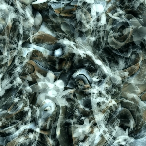 asylum600x600bkgds-025