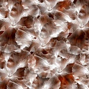 asylumbackgrounds600x600-015