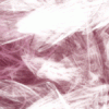 fortea32