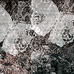asylum150x150ultrabkgds-401