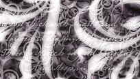 tbc-mated-195