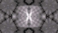 tbc-mated-445