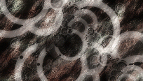 tbc-mated-57