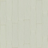fortebkgd1219