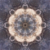 fortebkgd1521