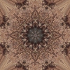 fortebkgd1554