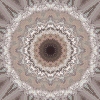 fortebkgd1558