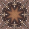 fortebkgd1575 fortebkgd1575
