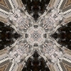 fortebkgd1646